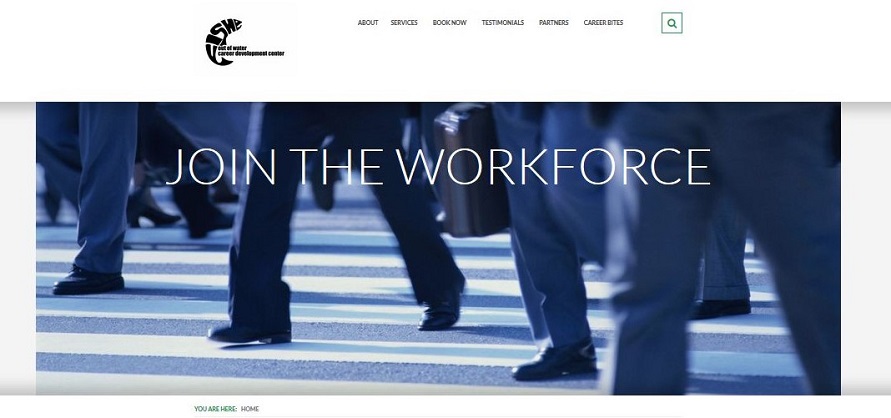 Career Development Solutions website